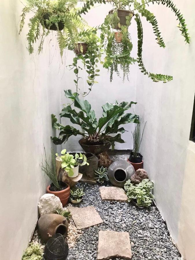 بيت شباب Nord House لواوْغ المظهر الخارجي الصورة
